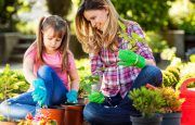 Fibro Friendly Activities