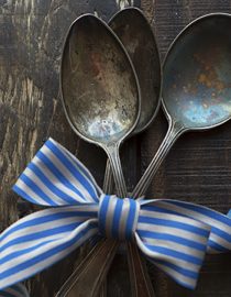 Using the Spoon Theory to Connect, Educate and Understand Using the Spoon Theory to Connect, Educate and Understand