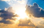 The Impact of Chronic Pain