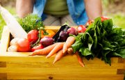 Fibromyalgia Diet